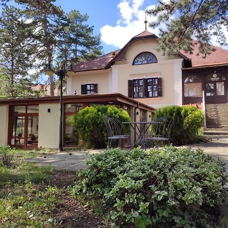 Imola Garden Vendeghaz Hotel Balatonfured Bagian luar foto